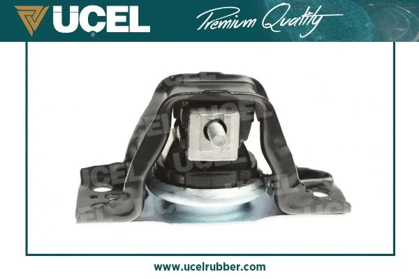 Mounting, engine