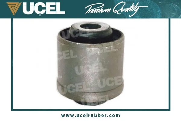 Mounting, control/trailing arm (10490)