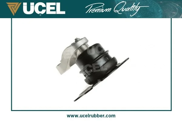 Mounting, engine