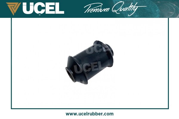 Mounting, control/trailing arm