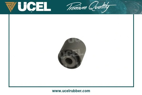 Mounting, control/trailing arm