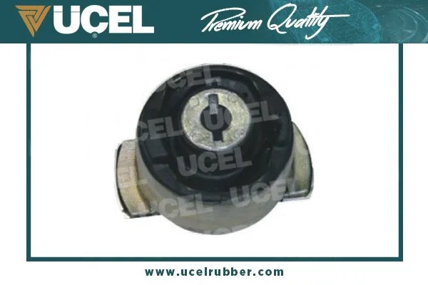 Bushing, axle beam (10823)