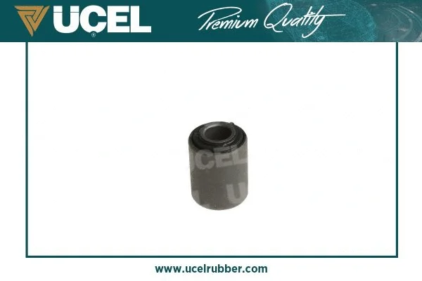 Mounting, control/trailing arm