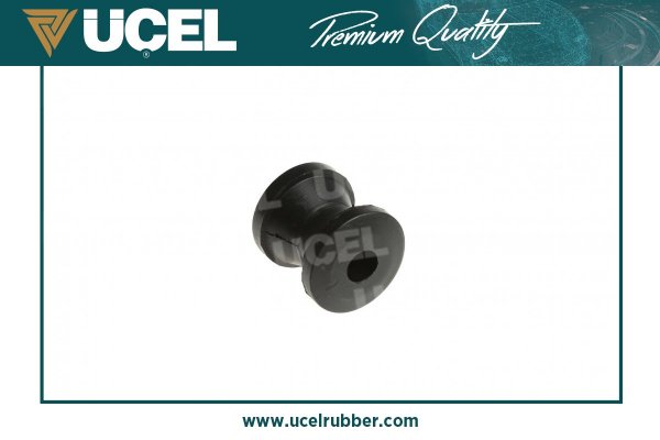 Mounting, control/trailing arm