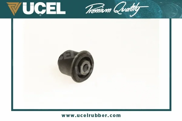 Mounting, control/trailing arm