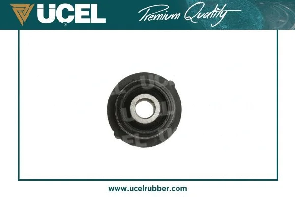 Mounting, control/trailing arm