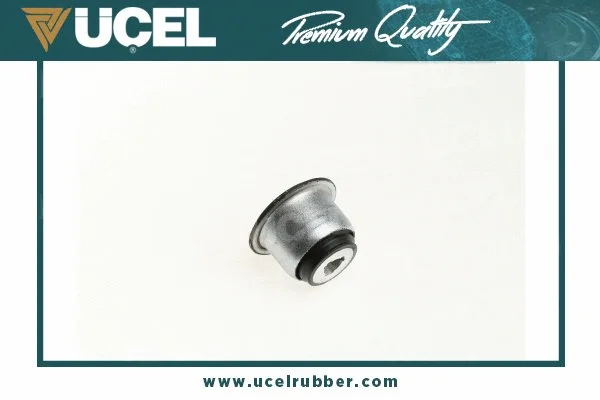 Mounting, control/trailing arm