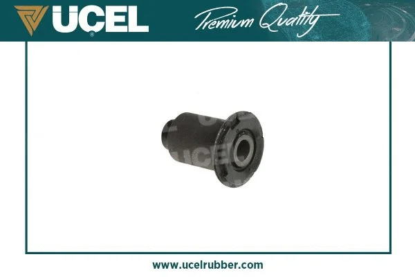 Mounting, control/trailing arm