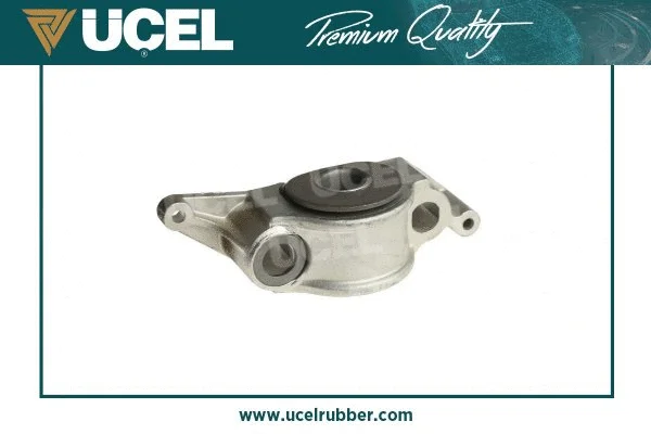 Mounting, control/trailing arm