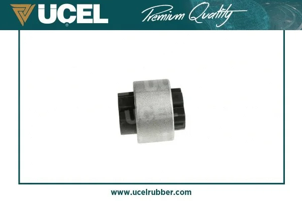 Mounting, control/trailing arm