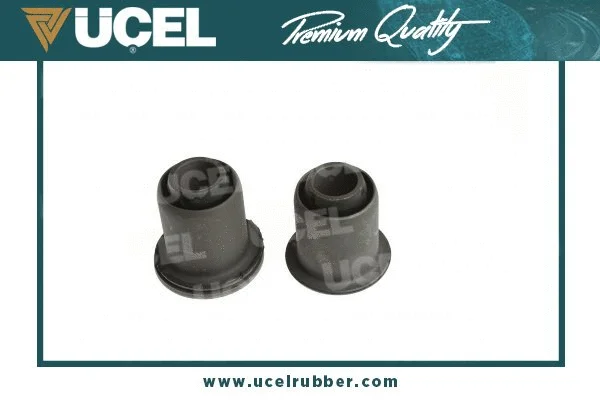 Mounting, control/trailing arm