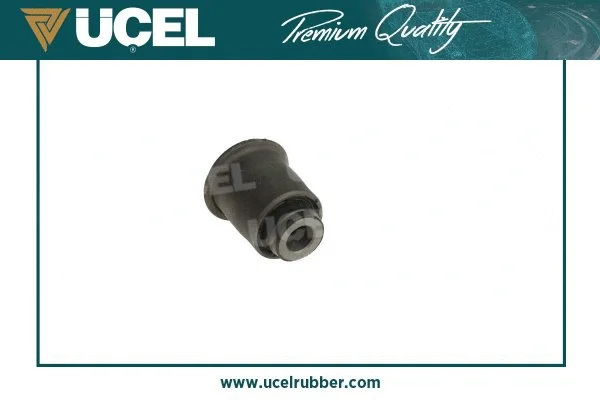 Mounting, control/trailing arm