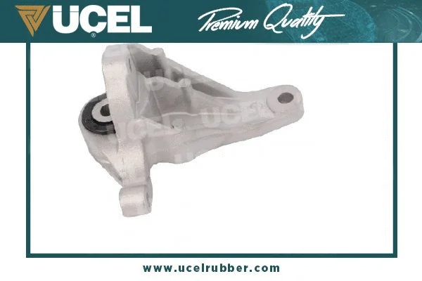 Mounting, engine (20411)