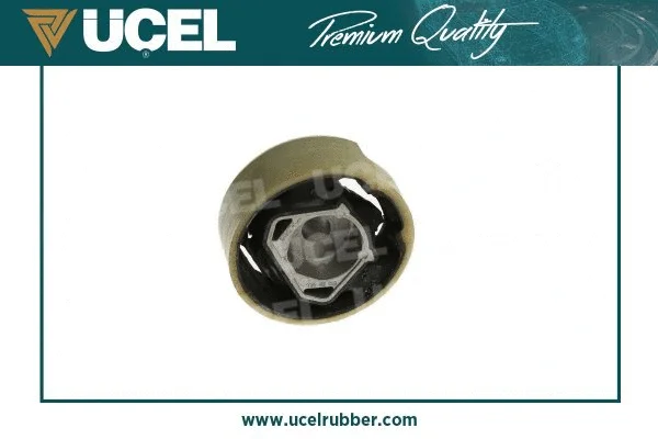 Holder, engine mounting system