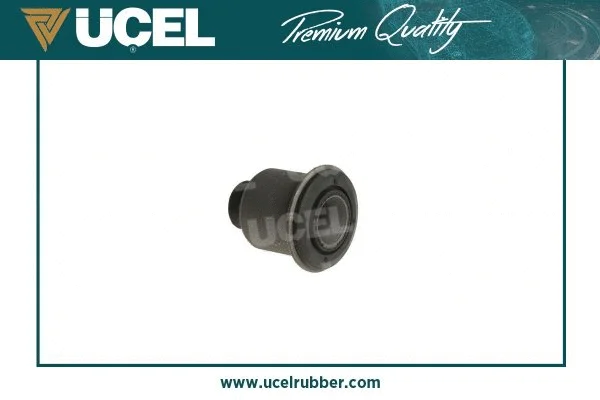 Mounting, control/trailing arm