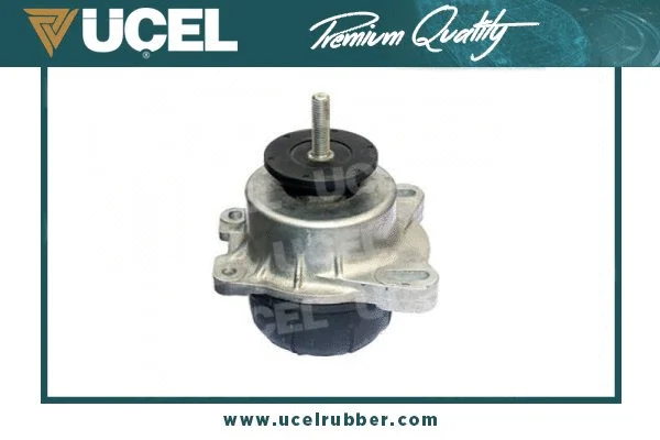 Mounting, engine (20406)