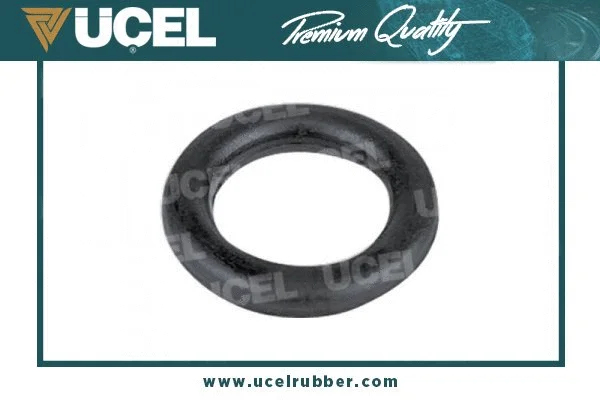 Mount, exhaust system (10116)