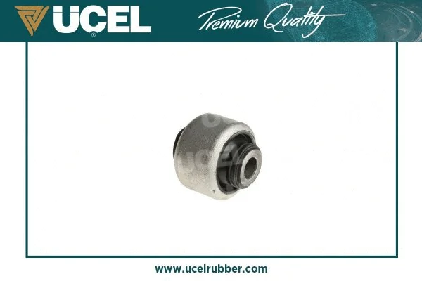 Mounting, control/trailing arm