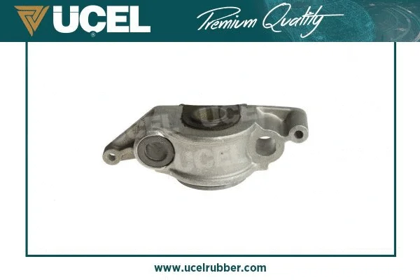 Mounting, control/trailing arm