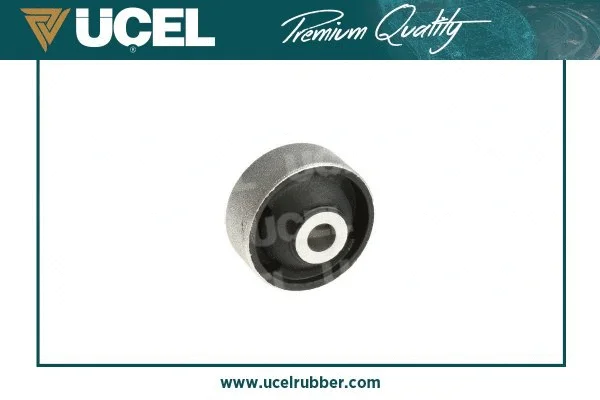 Mounting, control/trailing arm