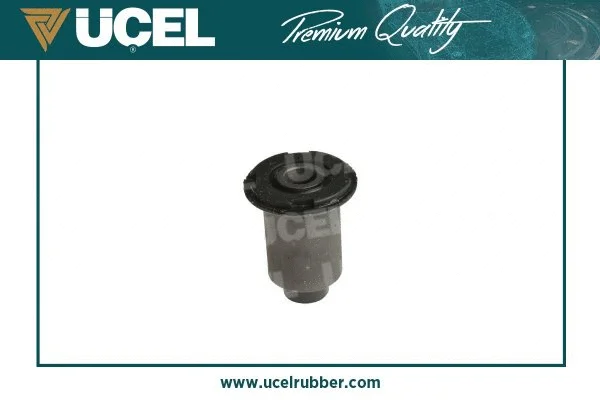Mounting, control/trailing arm