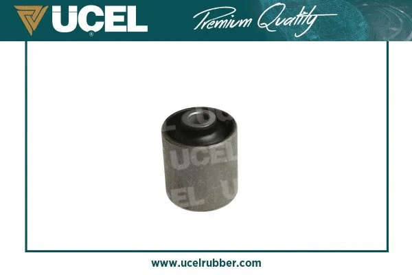 Mounting, control/trailing arm