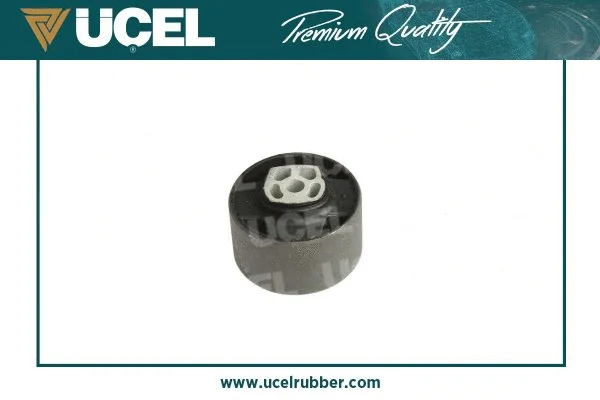 Holder, engine mounting system
