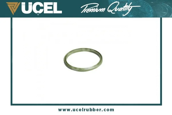 Seal Ring, charge air hose (65449)