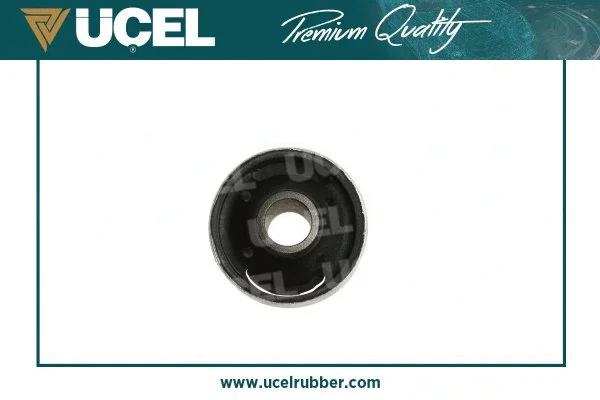 Mounting, control/trailing arm