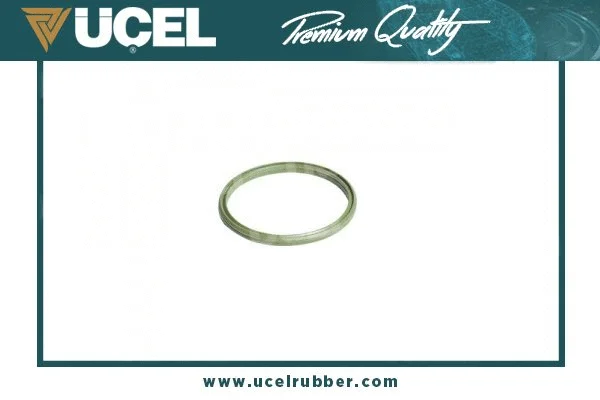 Seal Ring, charge air hose (65450)