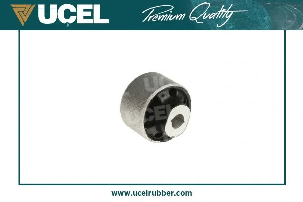Mounting, control/trailing arm