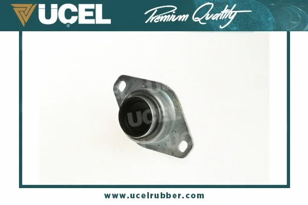 Mounting, engine