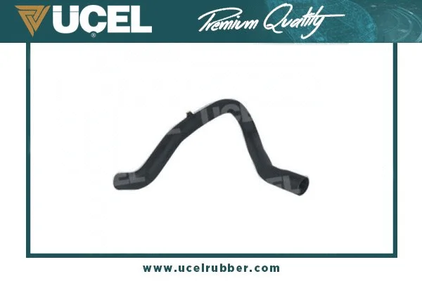 Radiator Hose (15302)