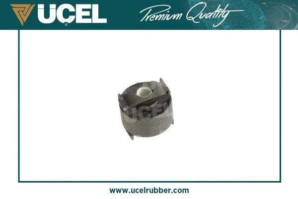 Mounting, control/trailing arm