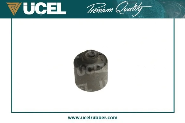 Mounting, control/trailing arm