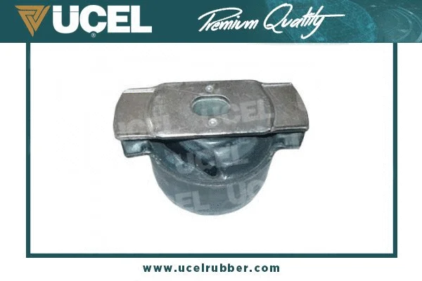Bushing, axle beam (10822A)