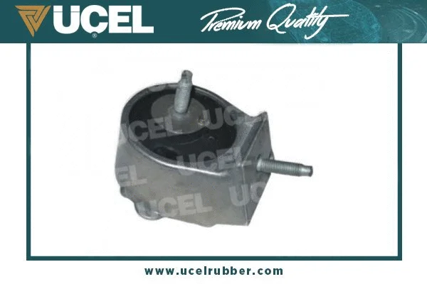 Mounting, engine (10411)