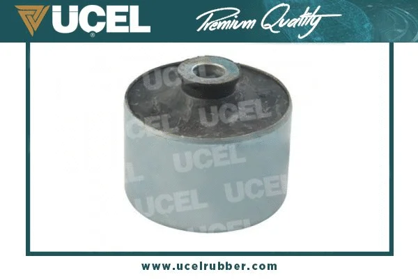 Bushing, axle beam (10965)
