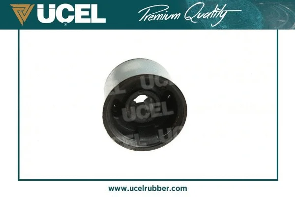 Mounting, control/trailing arm