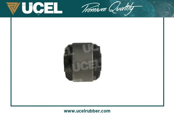 Mounting, control/trailing arm