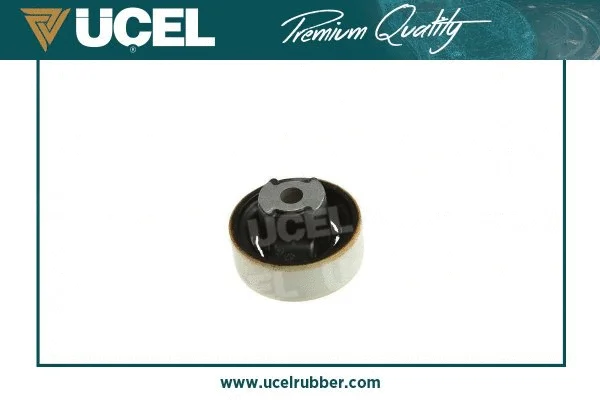 Mounting, control/trailing arm