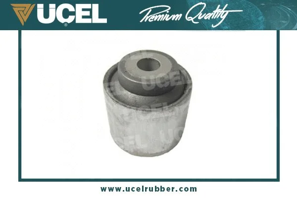 Mounting, control/trailing arm (31484)