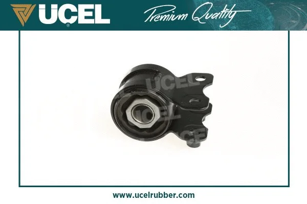 Mounting, control/trailing arm