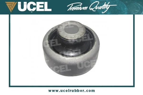 Mounting, control/trailing arm (10518)