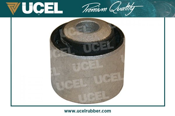 Mounting, control/trailing arm (76128)