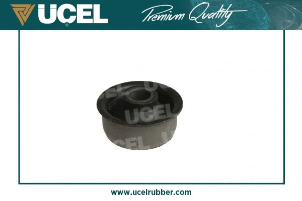 Mounting, control/trailing arm