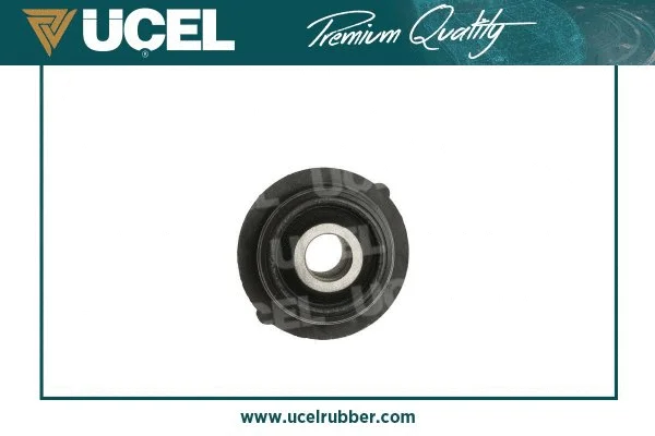 Mounting, control/trailing arm