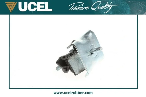 Mounting, engine