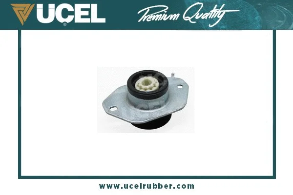 Mounting, engine (10905)