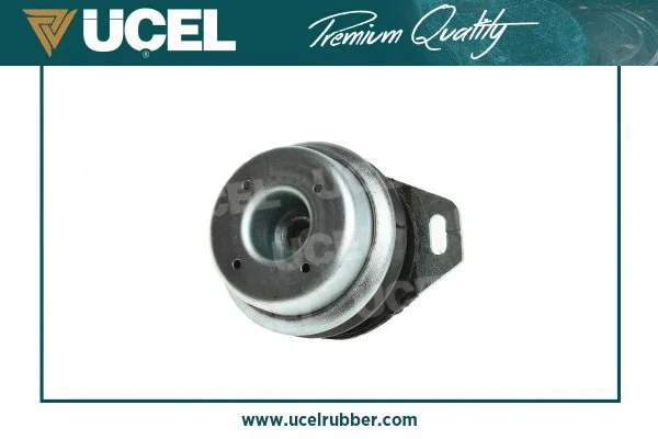 Mounting, engine